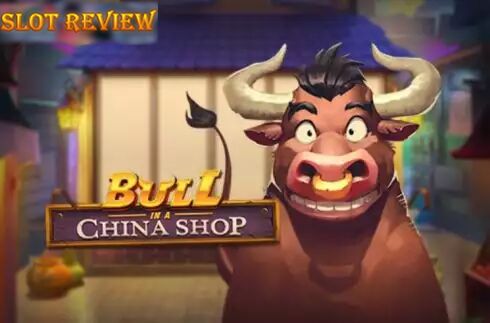 Bull in a China Shop icon